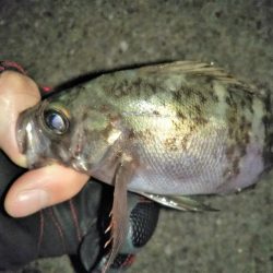 潮が止まるまでの勝負