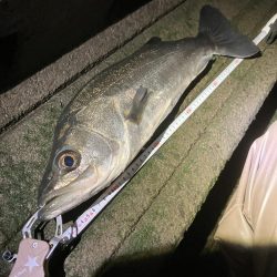 今年もよろしく