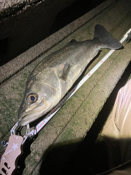 今年もよろしく