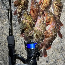 おNEWロッドでガシリング