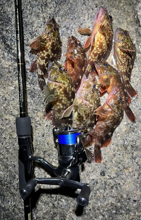 おNEWロッドでガシリング