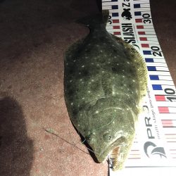 初釣り！初FISH！