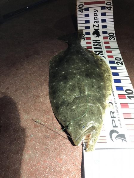 初釣り！初FISH！