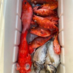 和歌山沖深海釣り