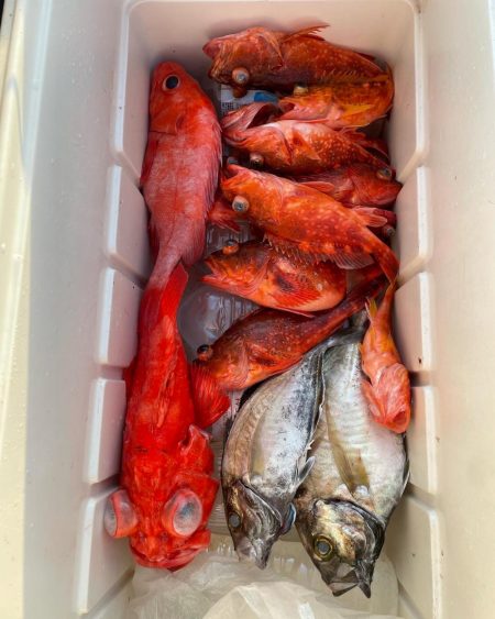 和歌山沖深海釣り