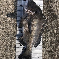 イチノ兄弟（兄）釣果！