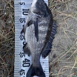 イチノ兄弟（兄）釣果！