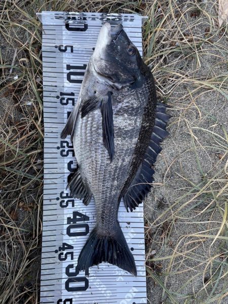 イチノ兄弟（兄）釣果！