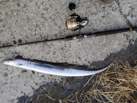 太刀魚釣り