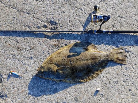 ヒラメと太刀魚