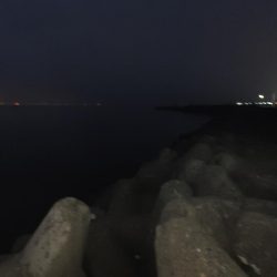 フロートリグとジグ単