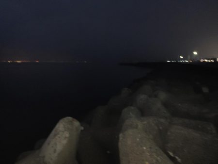 フロートリグとジグ単