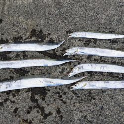 太刀魚釣り