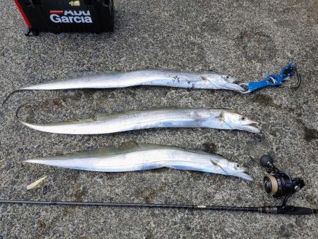 太刀魚ワインド