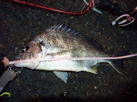 2023/01/07 南港ヘチ釣り釣行