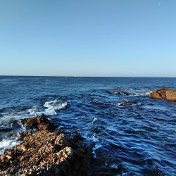 フカセ‥最高ですネ・・