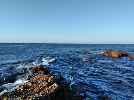 フカセ‥最高ですネ・・