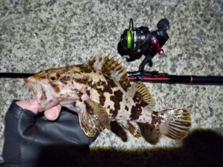 2023/01/28 兵庫県須磨釣行