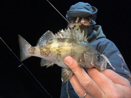 小島養魚場さんにて釣り始め！