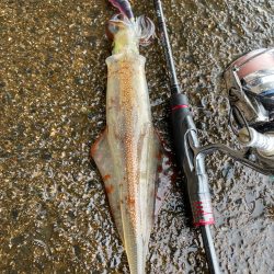 祝ヤリ〜開幕&RT墨つけ