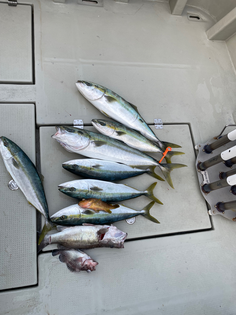 丹後沖ジギング