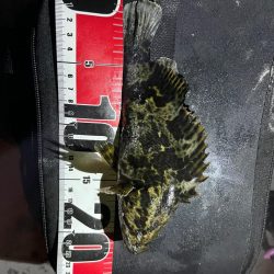 初釣りin四日市