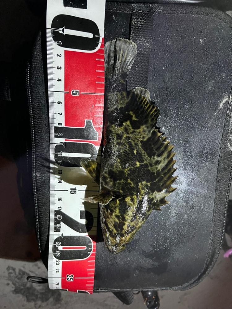 初釣りin四日市