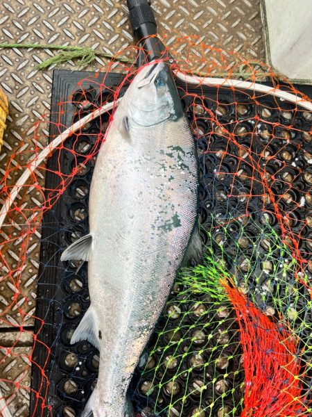 オフショアジギングin白老