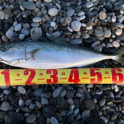 寒い時期に貴重なオカッパリ釣果