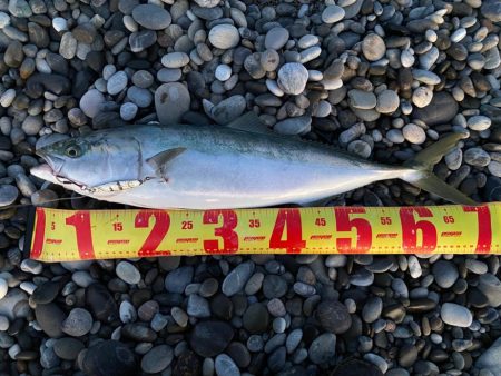 寒い時期に貴重なオカッパリ釣果