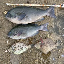 連続40センチオーバー確保！