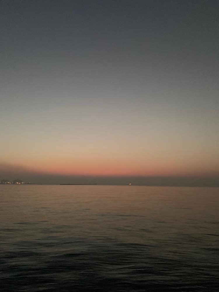 チヌが釣れるらしい！