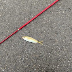 雨上がりに。。。