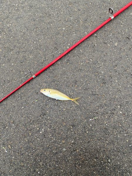 雨上がりに。。。