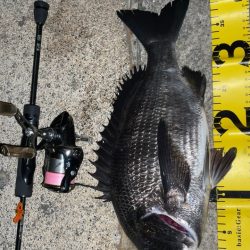 メバリング中に事故発生！