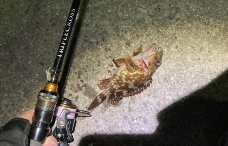 新年！トリプルクロスでライトゲーム！