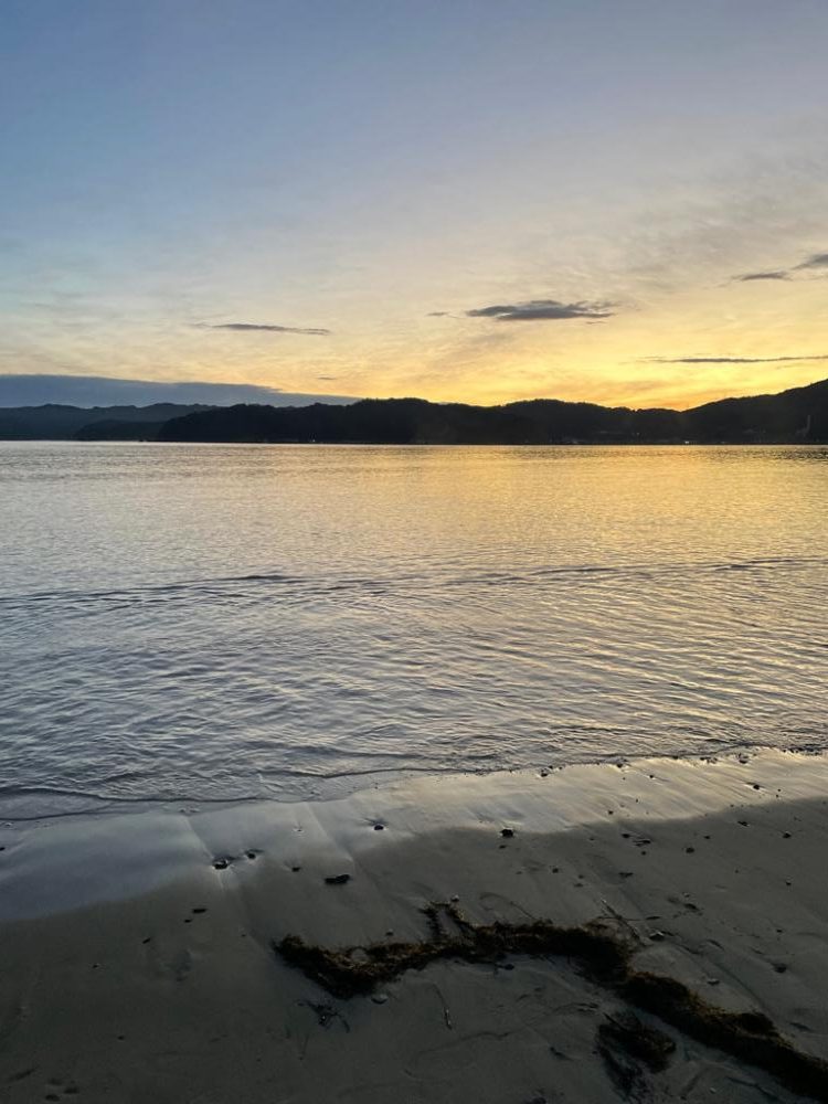 久々のサーフサゴシ