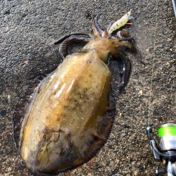 魚？ じゃなかったpart2  びっくり