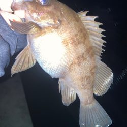 2023ライトゲーム初戦