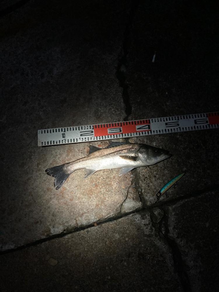 大寒中の釣行に成功