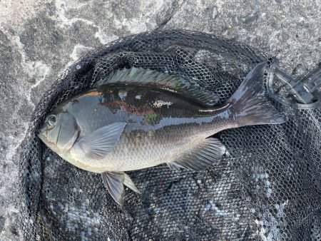 ファミリーフィッシング@千倉港