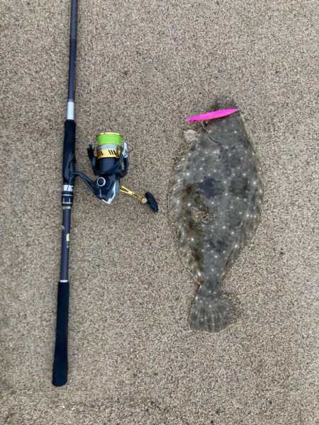 サーフでヒラメ