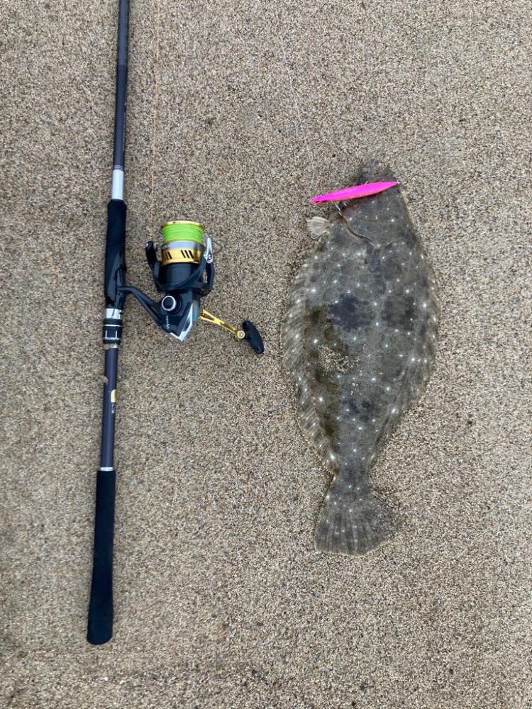 サーフでヒラメ