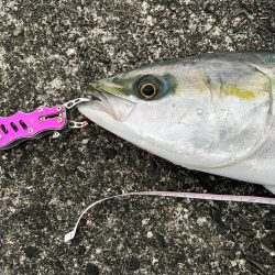 堤防4人全員ヒット〜!(笑)