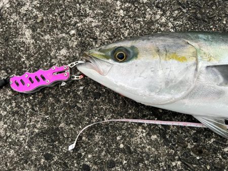 堤防４人全員ヒット〜！（笑）