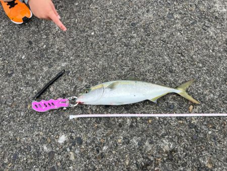 強風の中バレットブル！