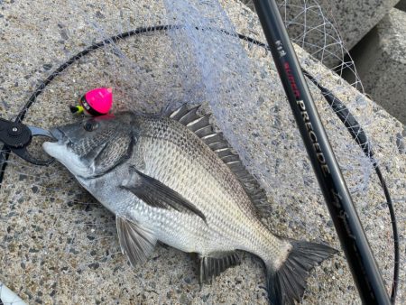 2023年初釣り❗þ…