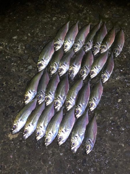 2023年　釣り初め❗&#x…