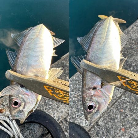 スプリット楽しい〜