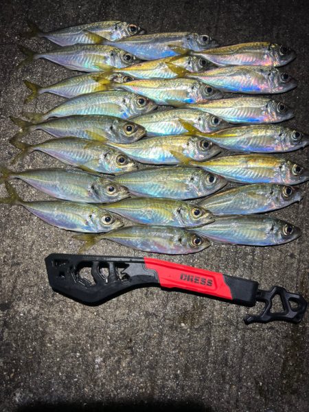 鯵を探して三千里Vel.27